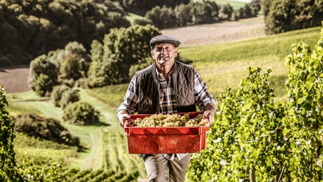 Puklavec Family Wines